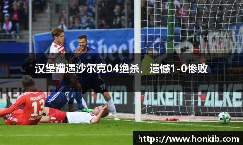 汉堡遭遇沙尔克04绝杀，遗憾1-0惨败