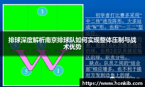 排球深度解析南京排球队如何实现整体压制与战术优势